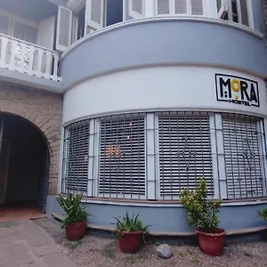 Mora Argentine